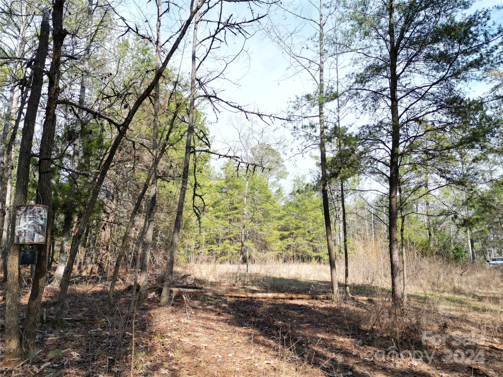 Tbd Grassy Island Road Ellerbe NC 28338