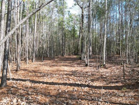 Tbd Grassy Island Road Ellerbe NC 28338