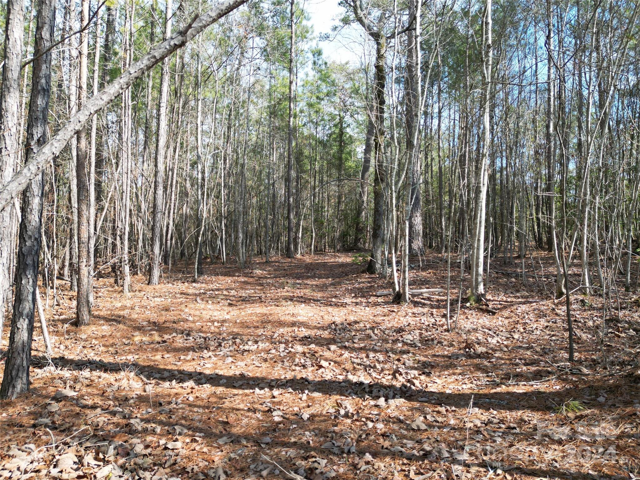 Tbd Grassy Island Road Ellerbe NC 28338