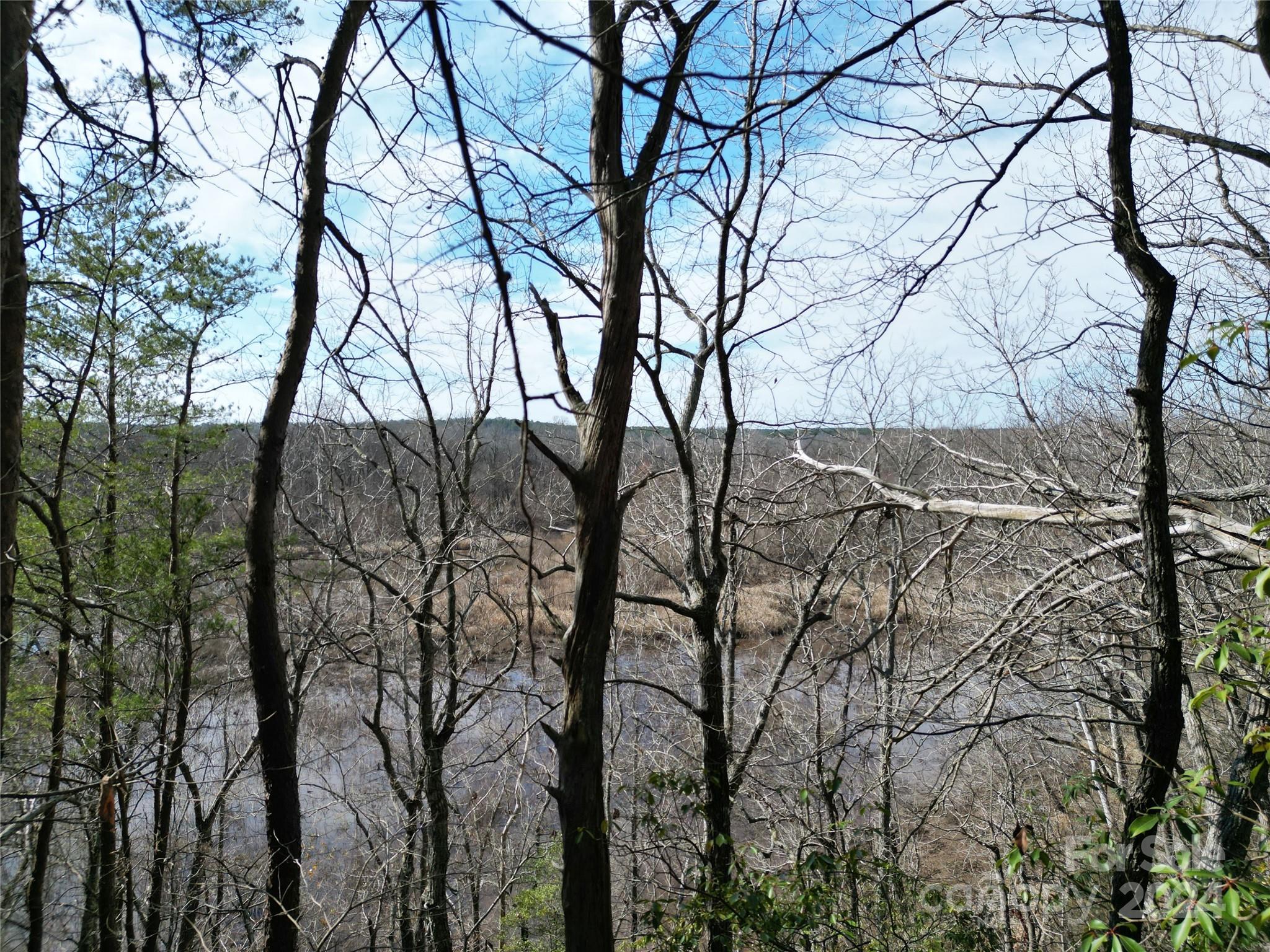 Tbd Grassy Island Road Ellerbe NC 28338