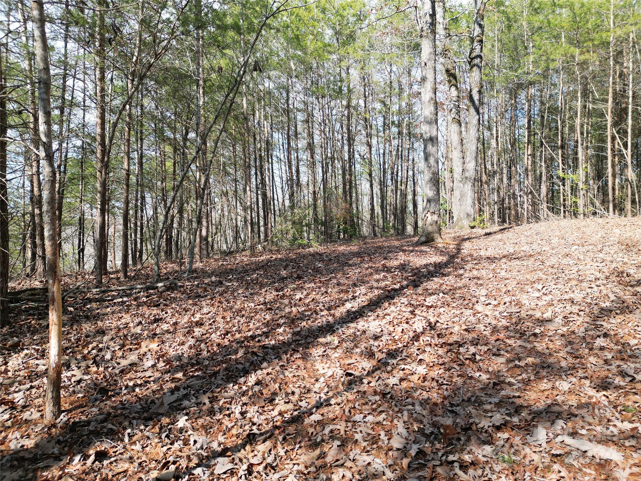 Tbd Grassy Island Road Ellerbe NC 28338