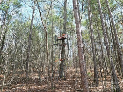 Tbd Grassy Island Road Ellerbe NC 28338