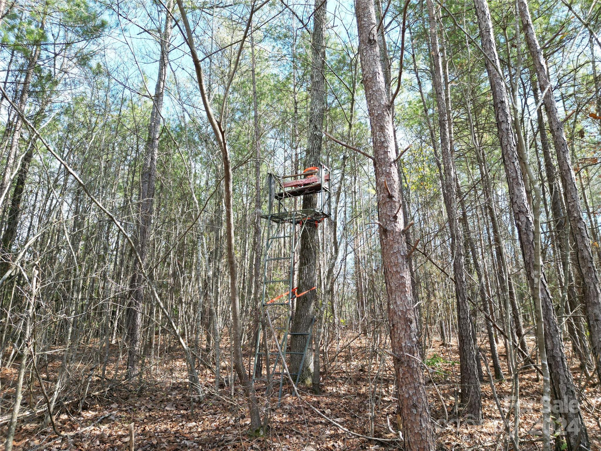 Tbd Grassy Island Road Ellerbe NC 28338