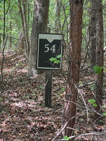 54 Perennial Drive Nebo NC 28761