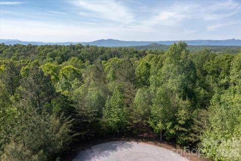 54 Perennial Drive Nebo NC 28761