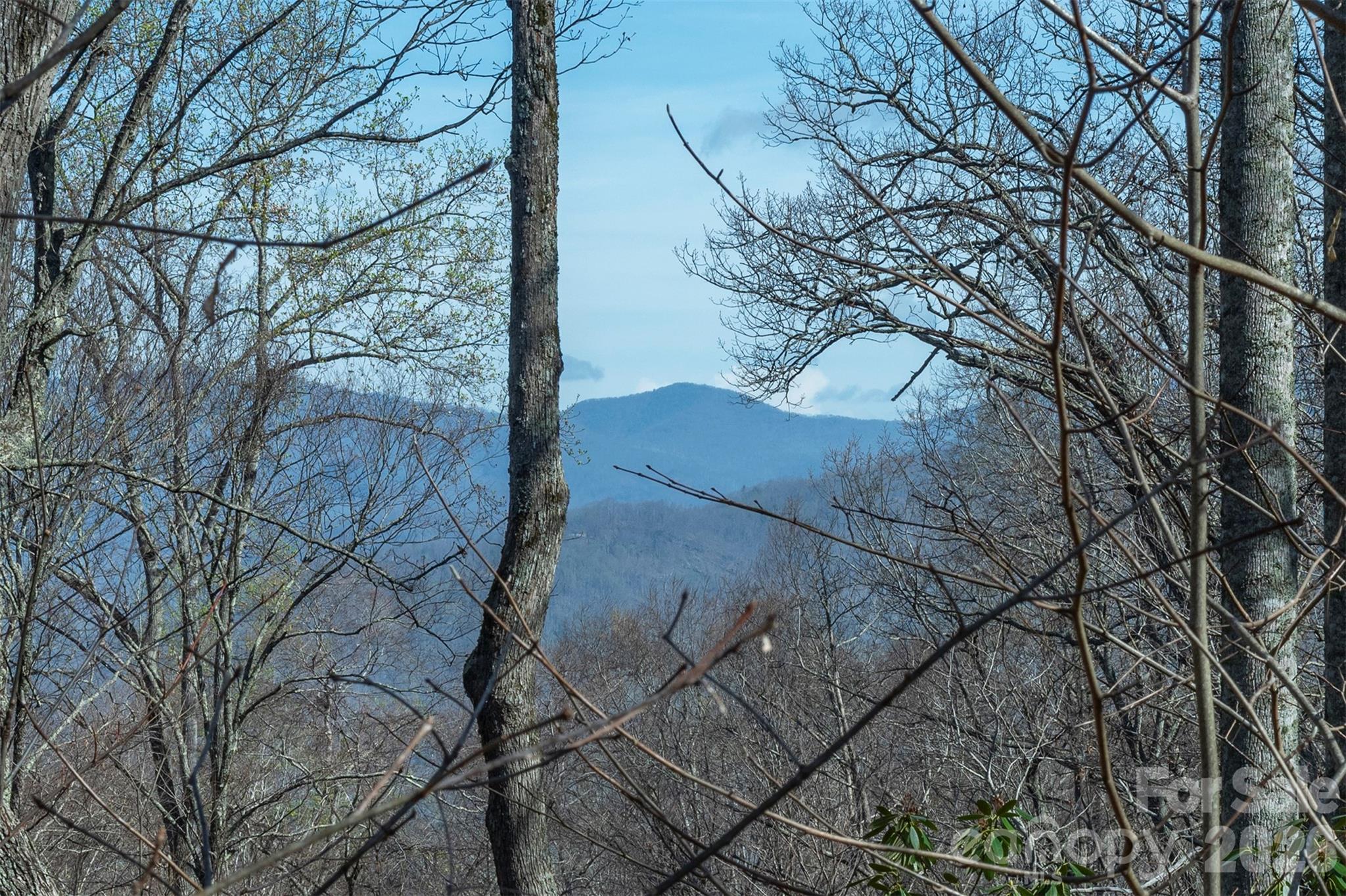 1279 Arborcrest Way Swannanoa NC 28778