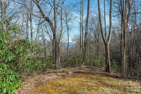 1279 Arborcrest Way Swannanoa NC 28778