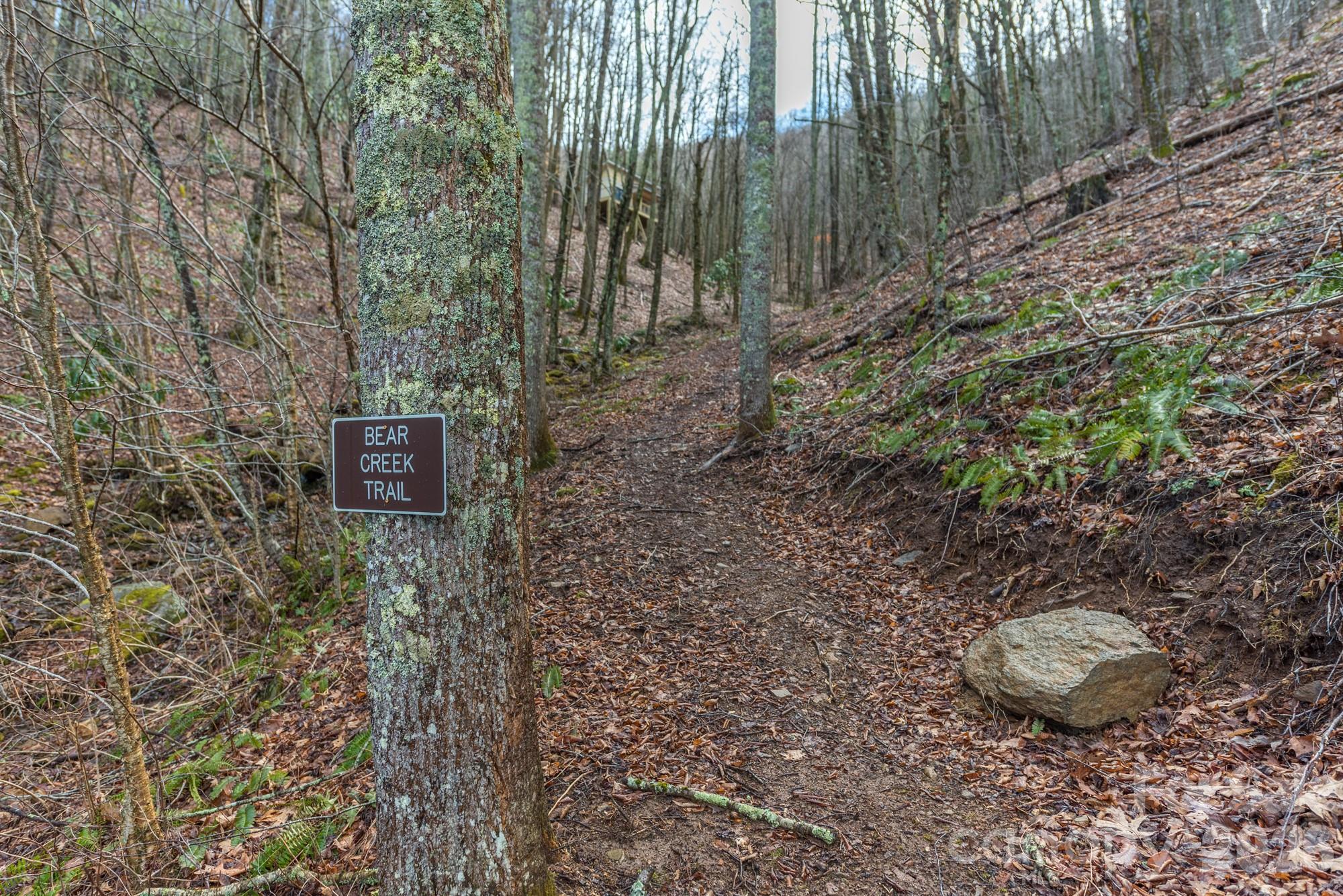 1279 Arborcrest Way Swannanoa NC 28778