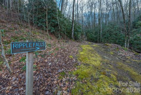 1279 Arborcrest Way Swannanoa NC 28778
