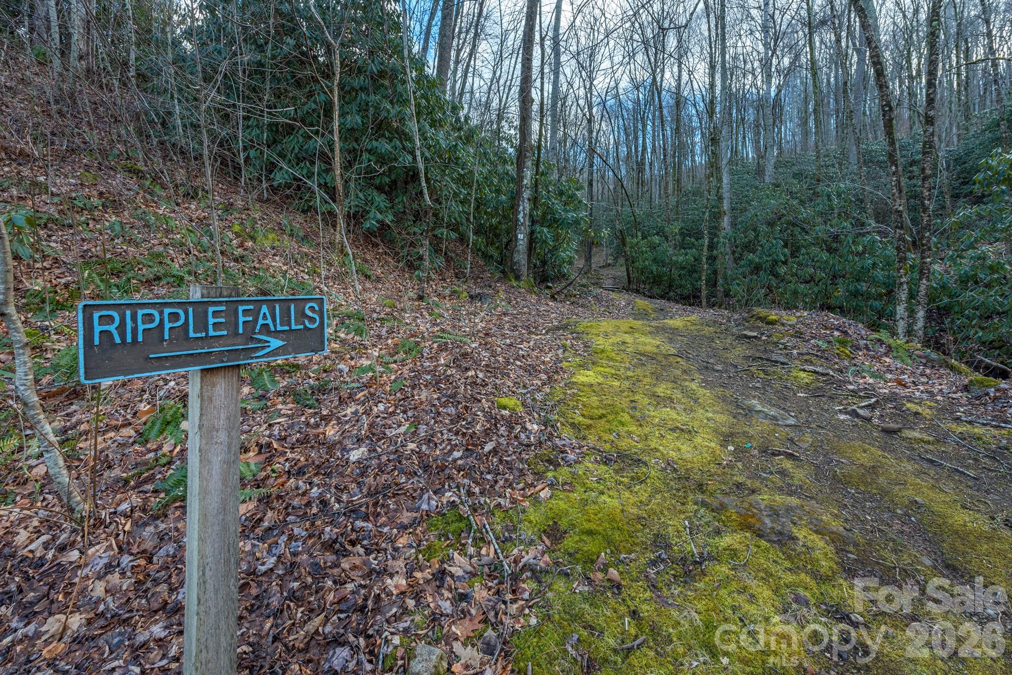 1279 Arborcrest Way Swannanoa NC 28778
