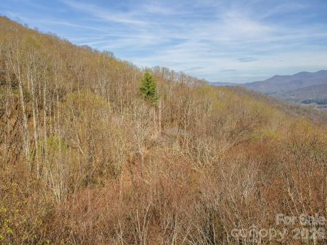 1279 Arborcrest Way Swannanoa NC 28778