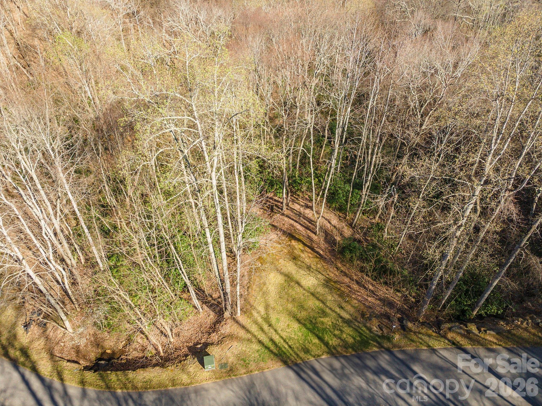 1279 Arborcrest Way Swannanoa NC 28778
