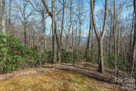 1279 Arborcrest Way Swannanoa NC 28778