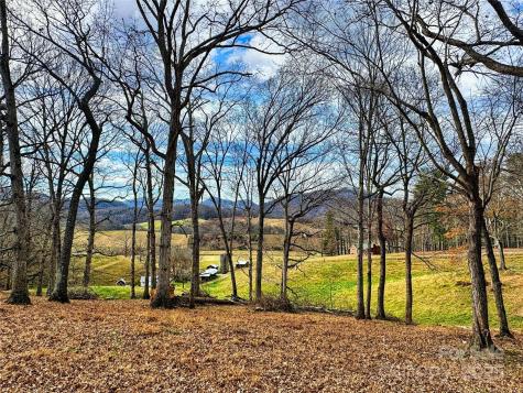 99999 Old Newfound Road Leicester NC 28748