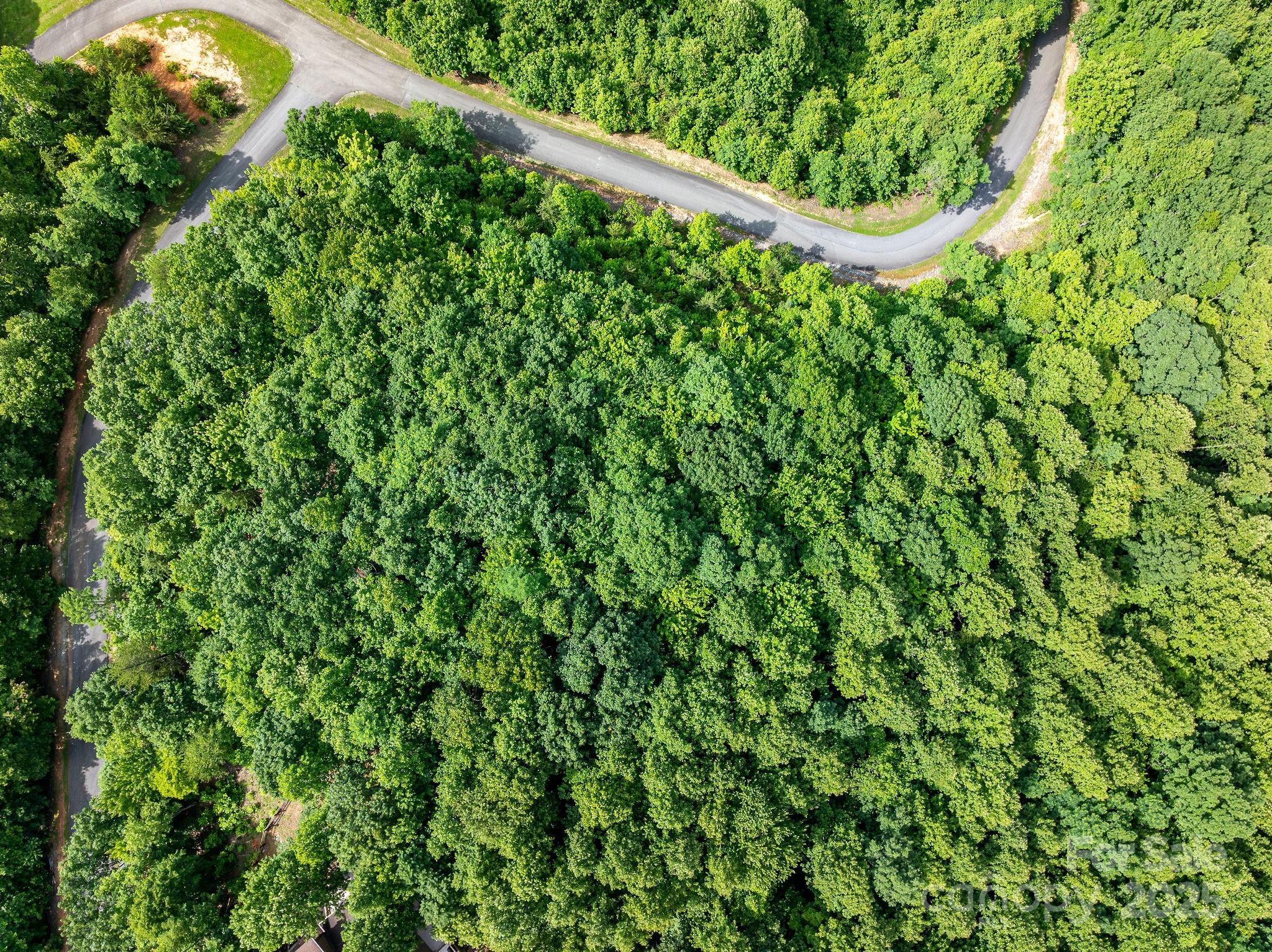 155 Big View Drive Marion NC 28752