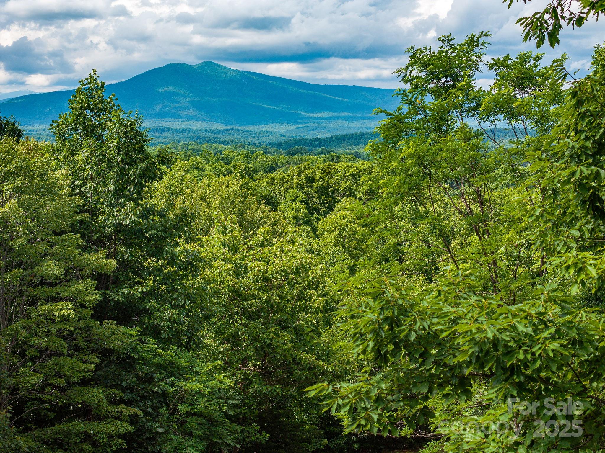 155 Big View Drive Marion NC 28752