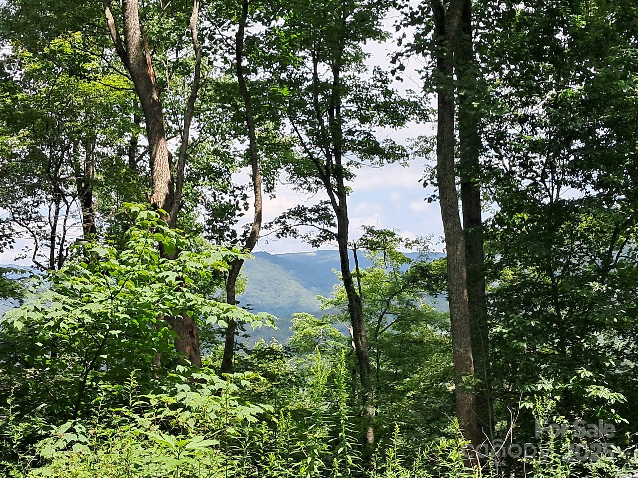 00 Hurricane Ridge Trace Clyde NC 28721