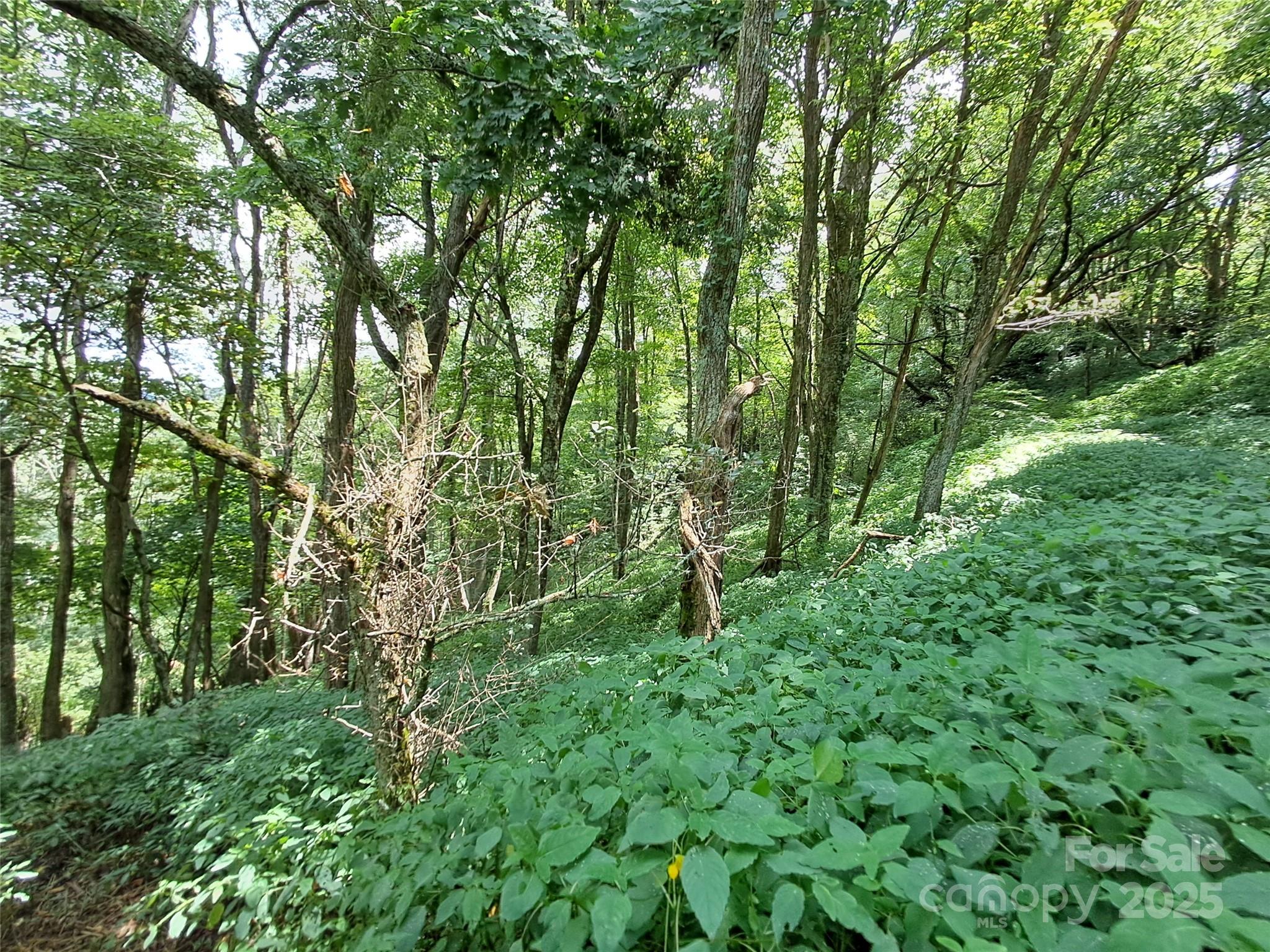 00 Hurricane Ridge Trace Clyde NC 28721