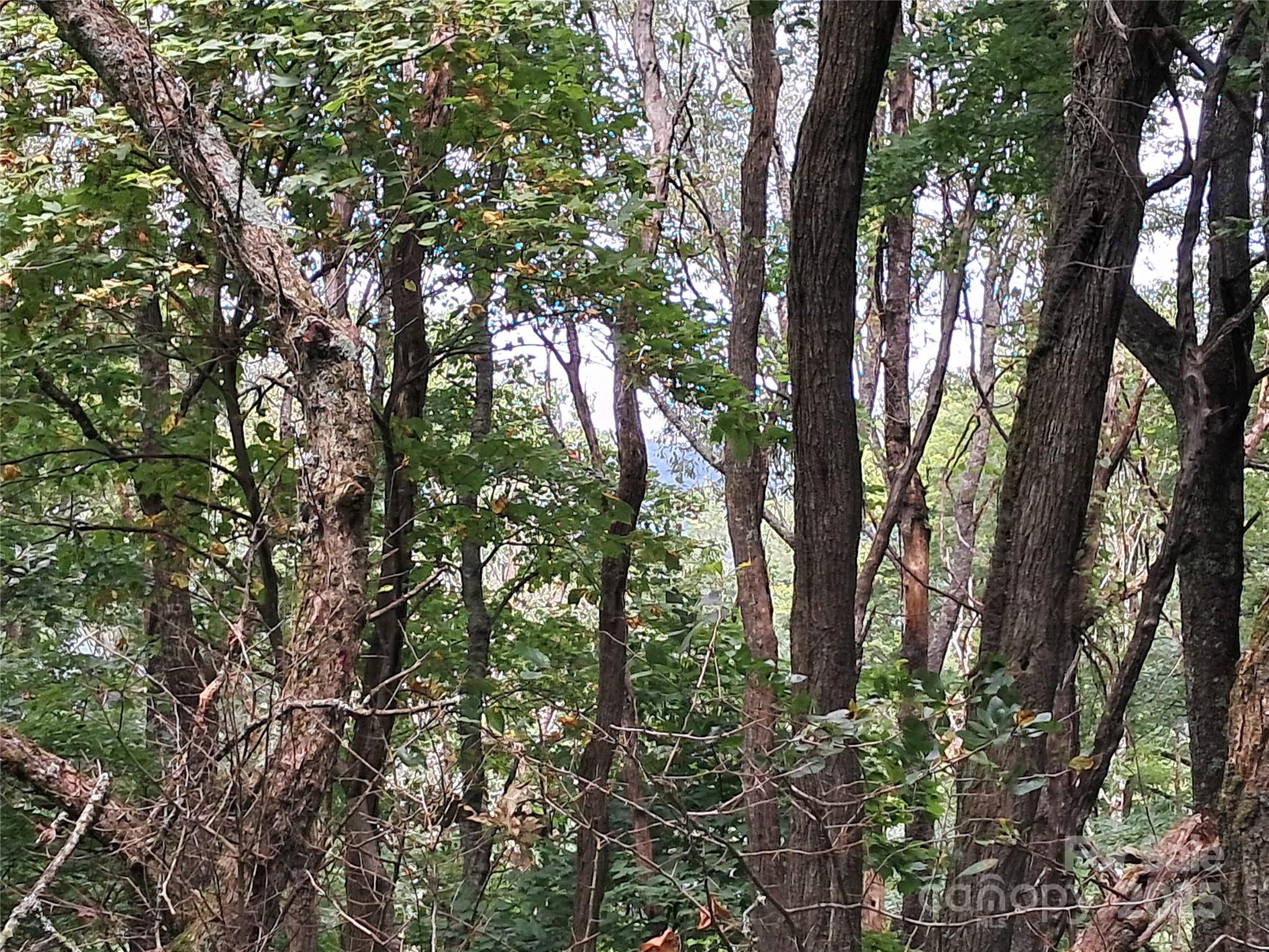 00 Hurricane Ridge Trace Clyde NC 28721