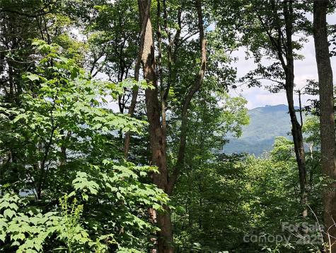 00 Hurricane Ridge Trace Clyde NC 28721