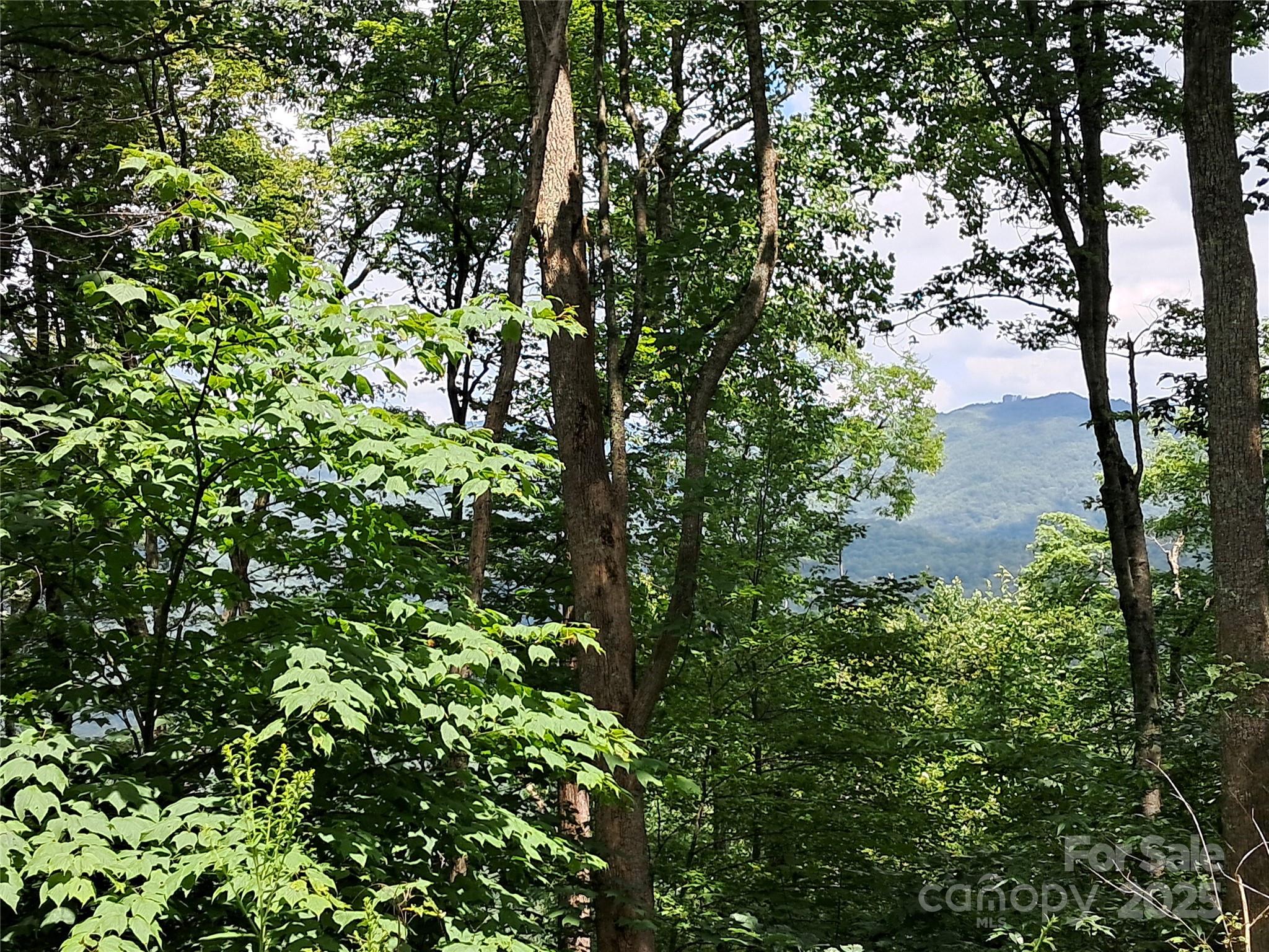 00 Hurricane Ridge Trace Clyde NC 28721