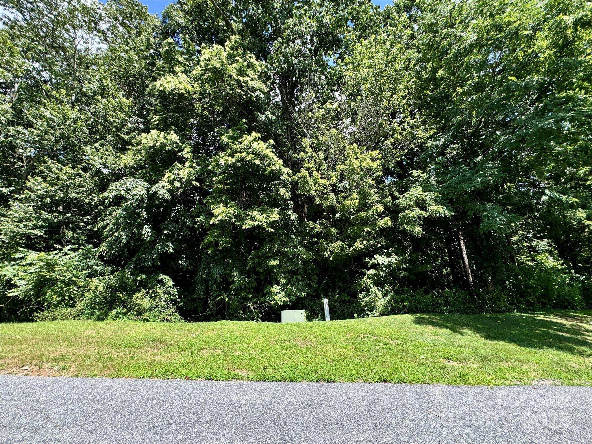 35 Ladys Fern Trail Hendersonville NC 28739