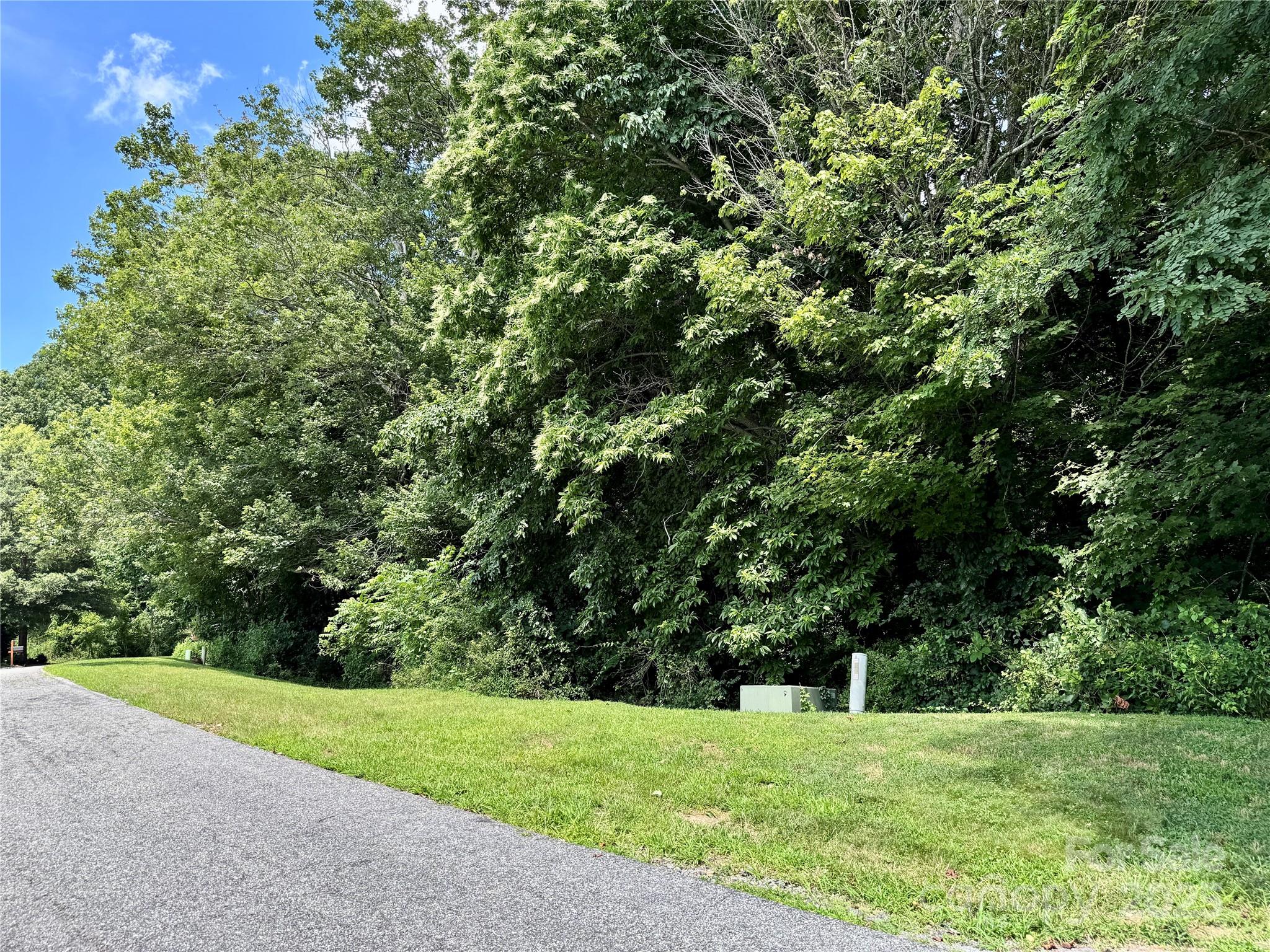 35 Ladys Fern Trail Hendersonville NC 28739