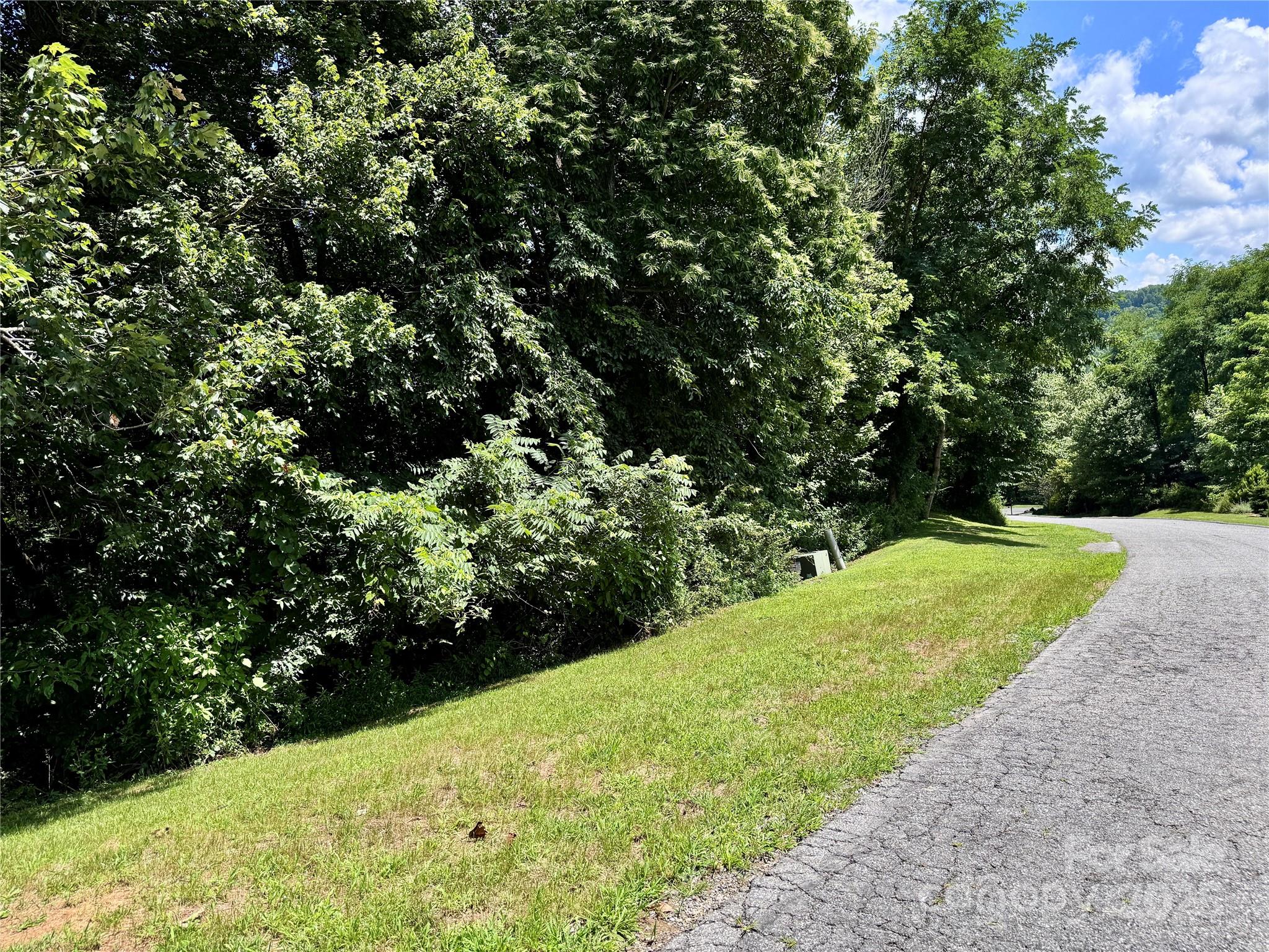 35 Ladys Fern Trail Hendersonville NC 28739