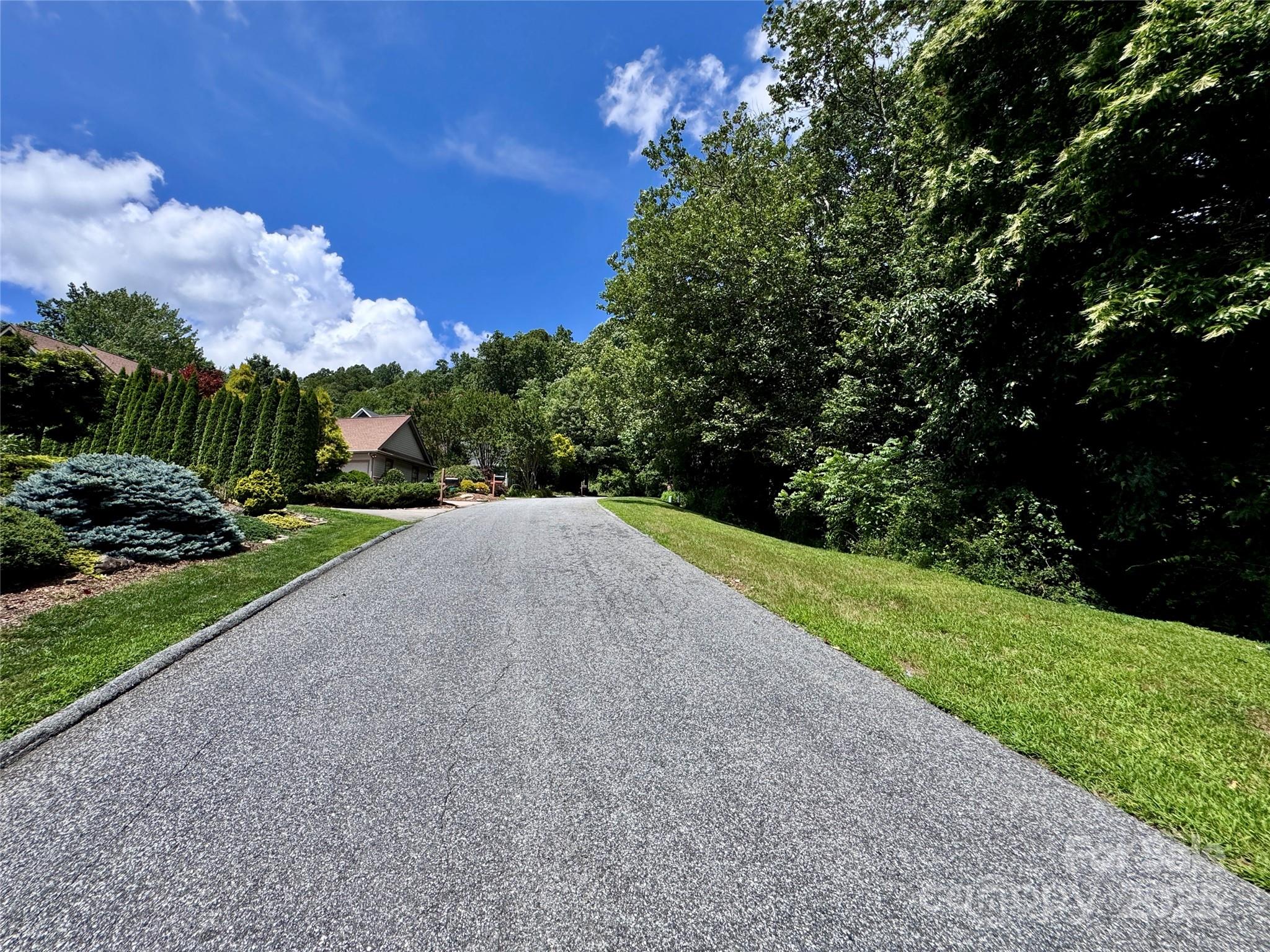 35 Ladys Fern Trail Hendersonville NC 28739