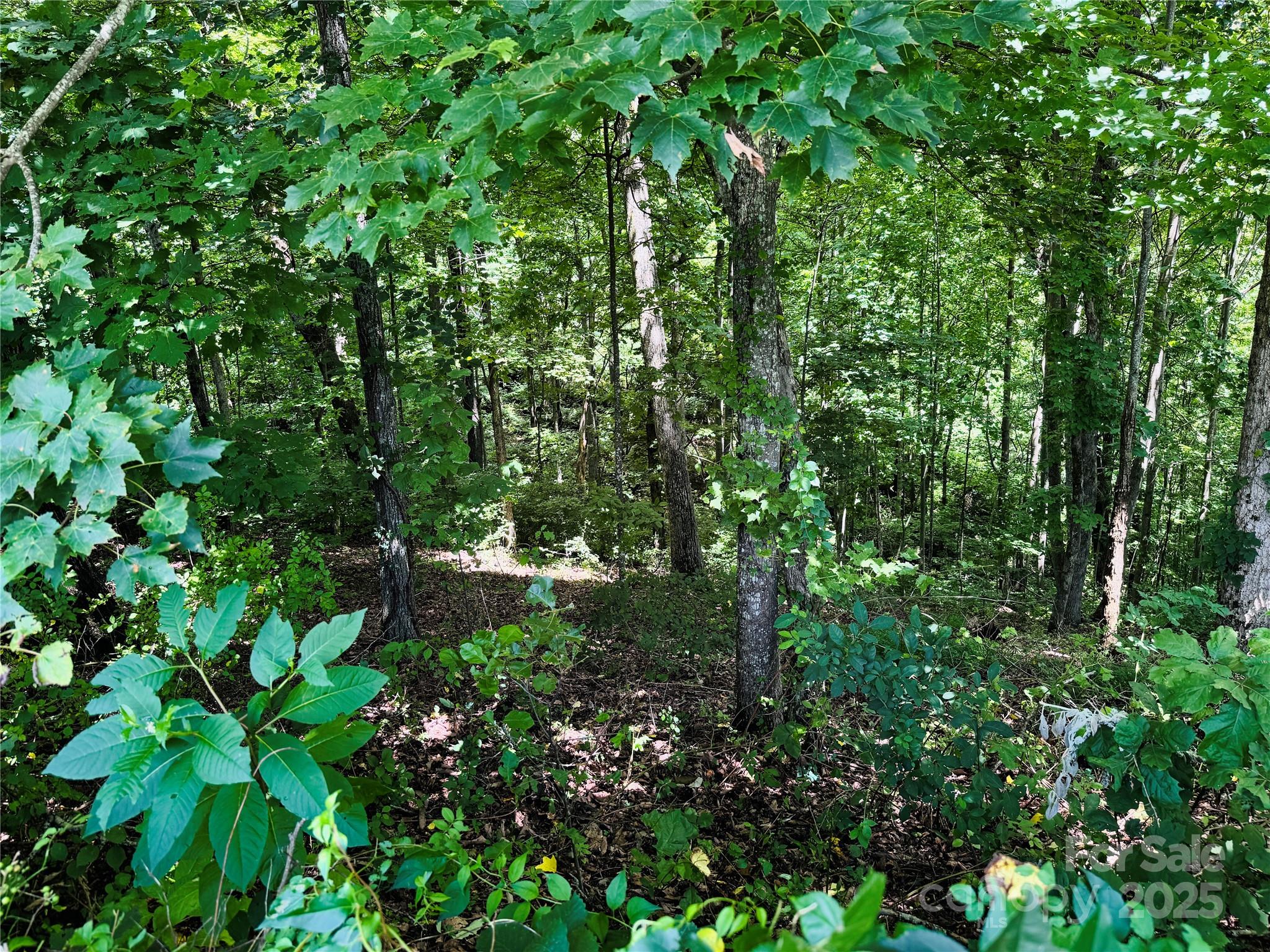 35 Ladys Fern Trail Hendersonville NC 28739
