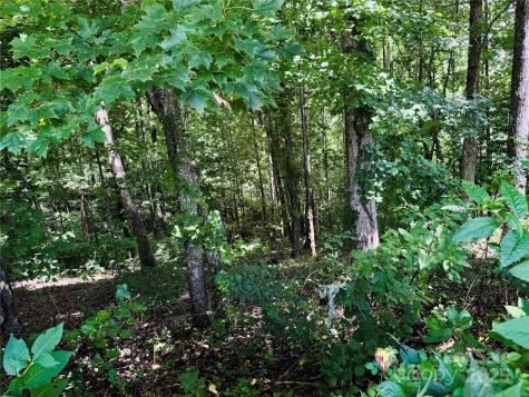 35 Ladys Fern Trail Hendersonville NC 28739