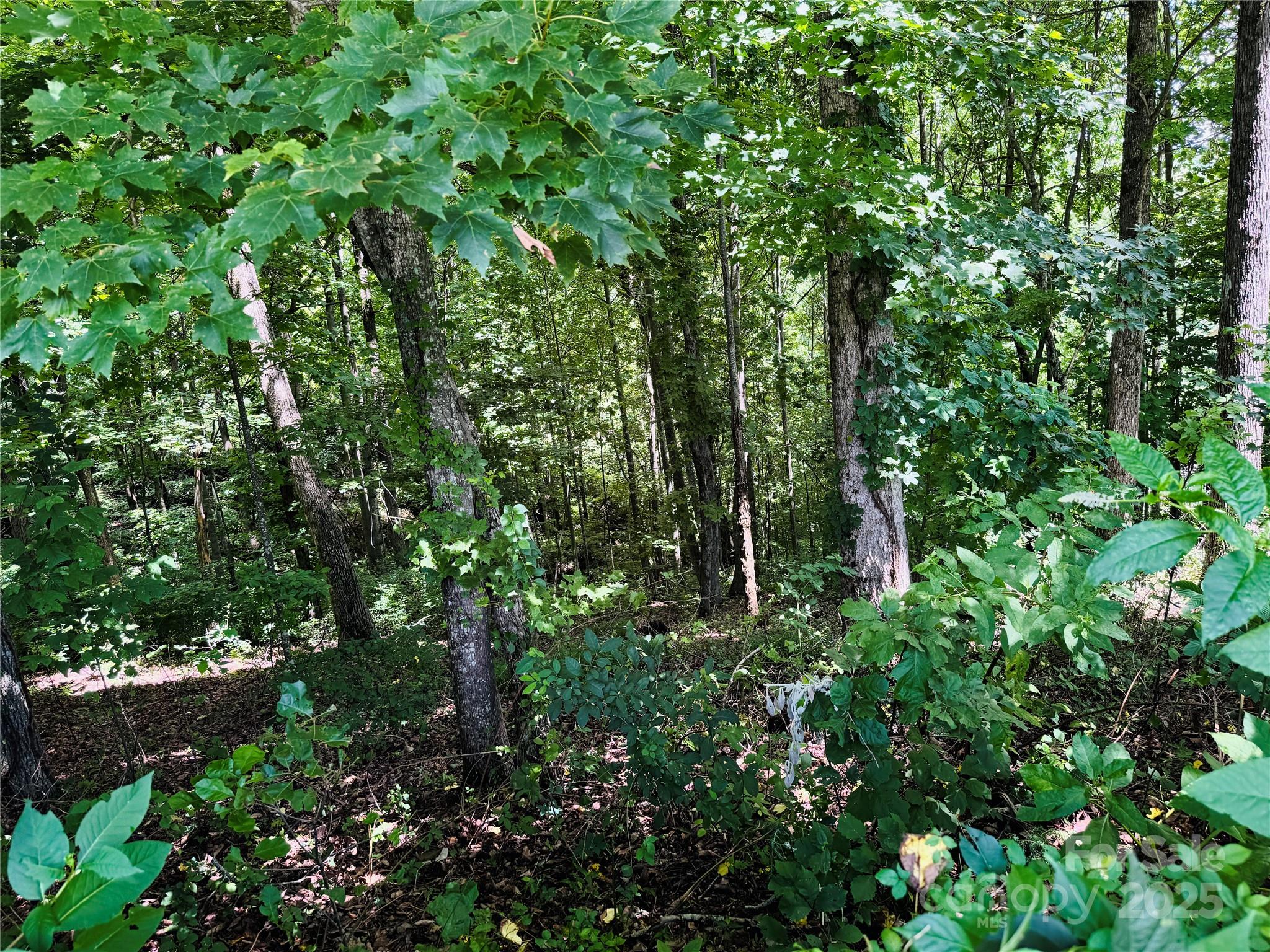 35 Ladys Fern Trail Hendersonville NC 28739