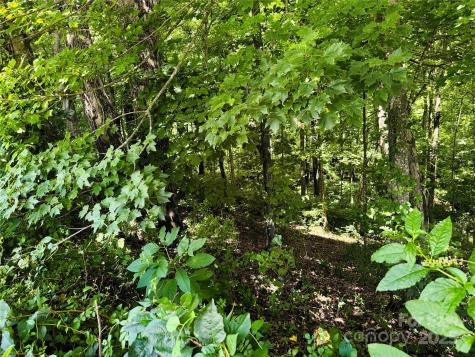 35 Ladys Fern Trail Hendersonville NC 28739