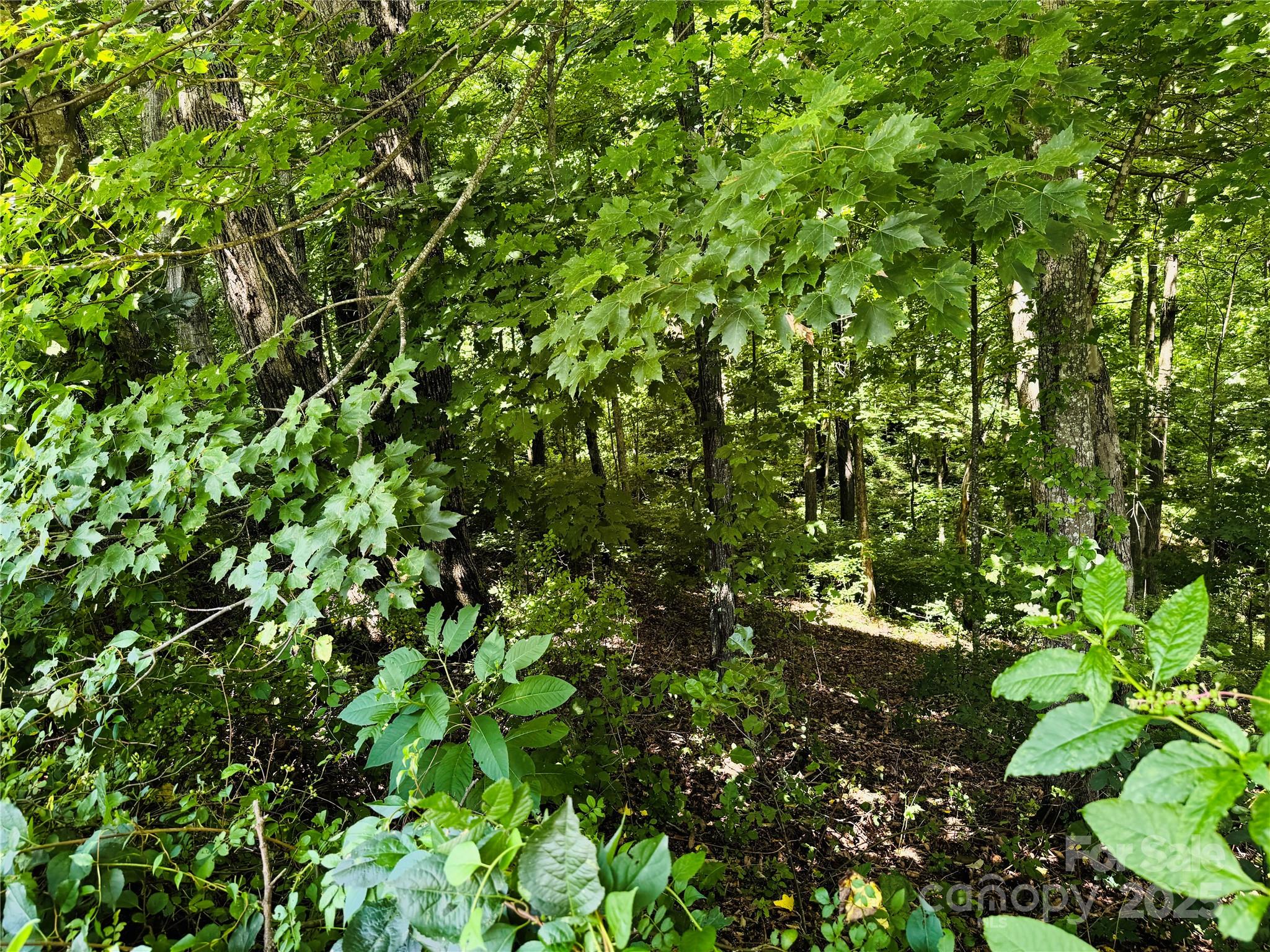 35 Ladys Fern Trail Hendersonville NC 28739