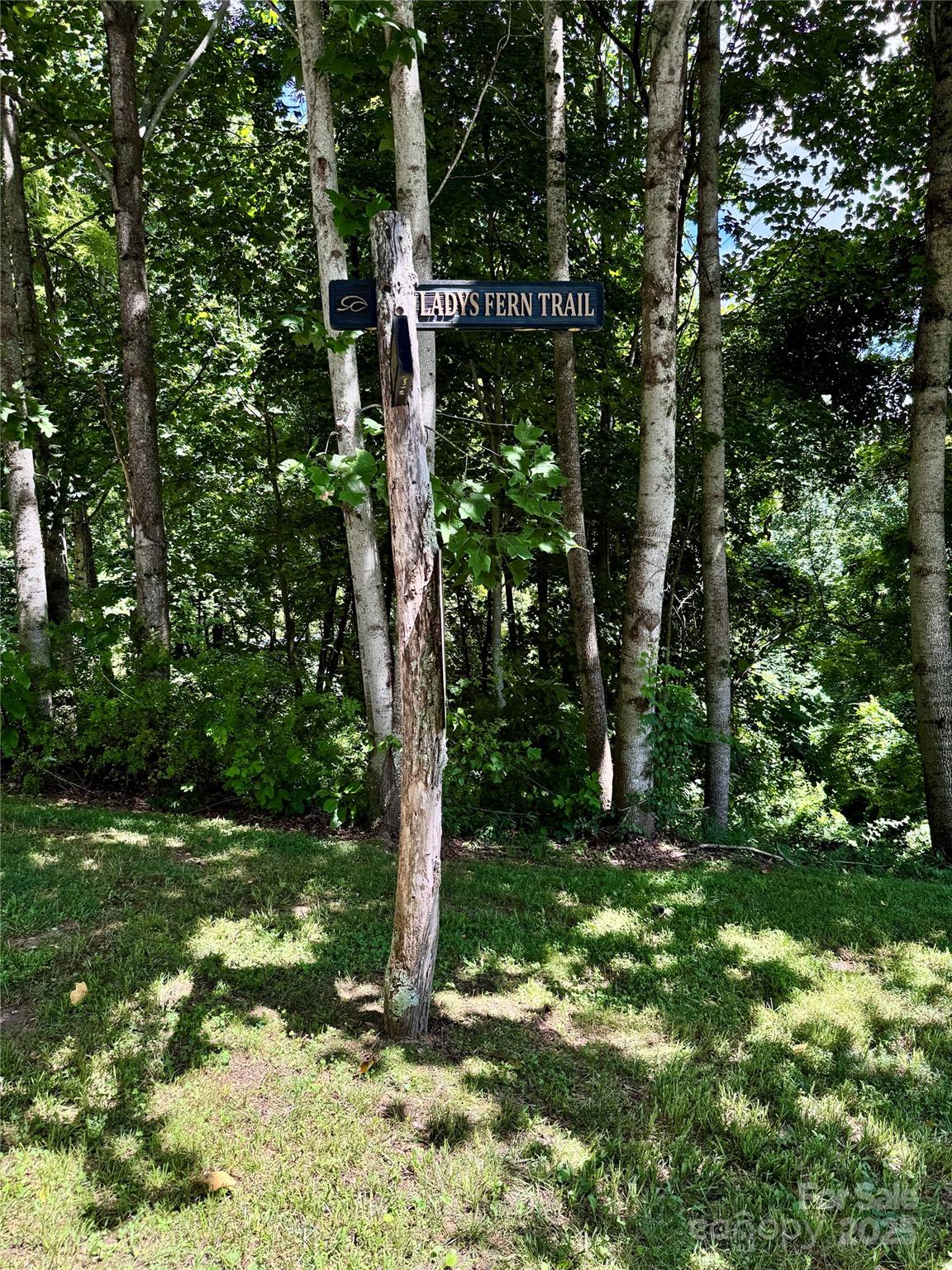 35 Ladys Fern Trail Hendersonville NC 28739