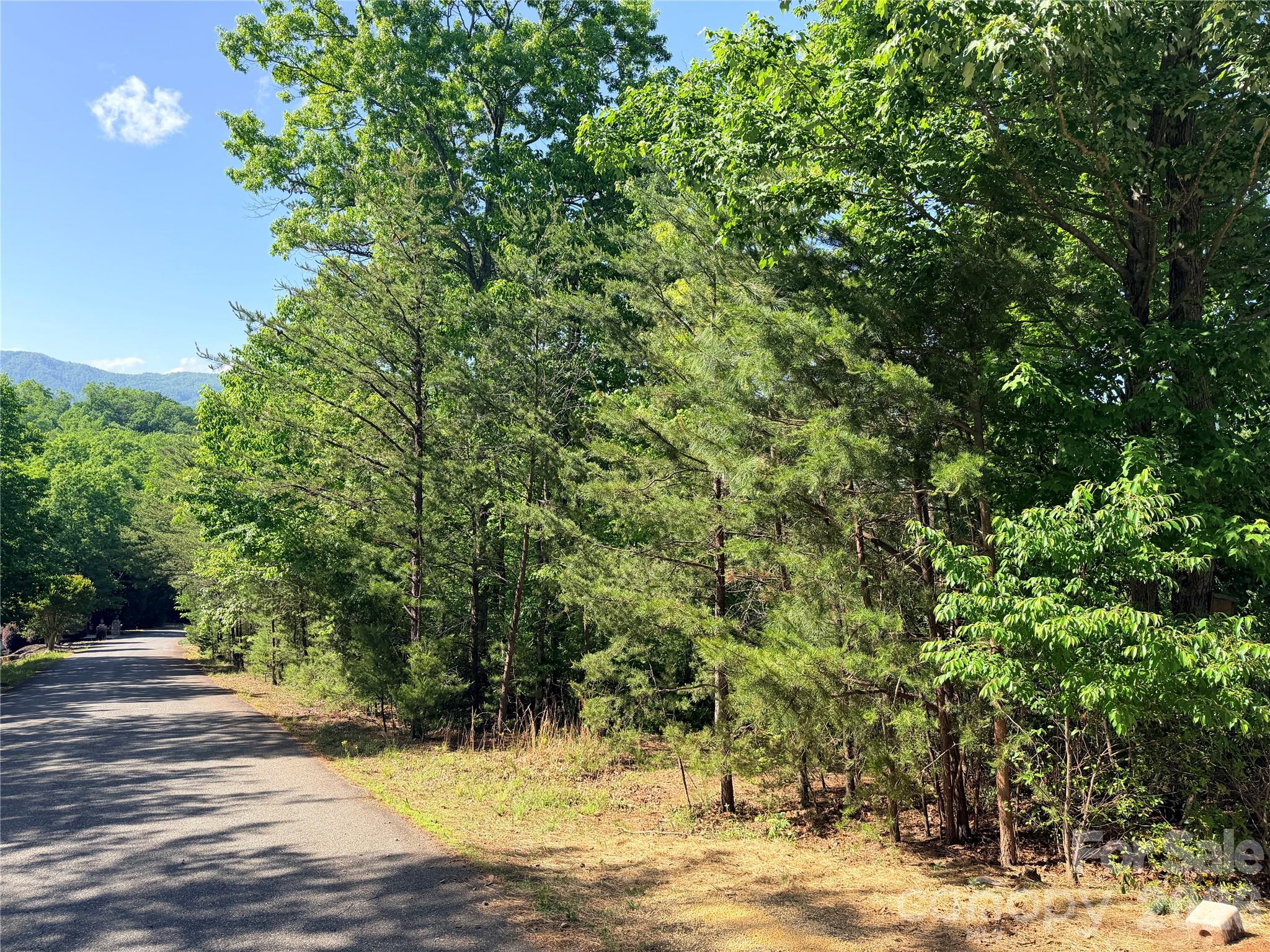 0 Eagles Crest Way Lake Lure NC 28746