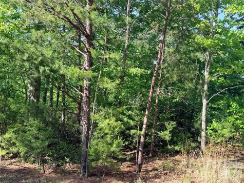 0 Eagles Crest Way Lake Lure NC 28746