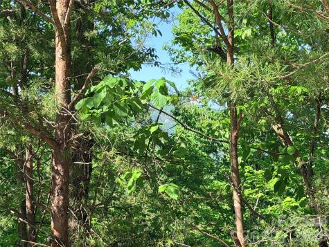 0 Eagles Crest Way Lake Lure NC 28746