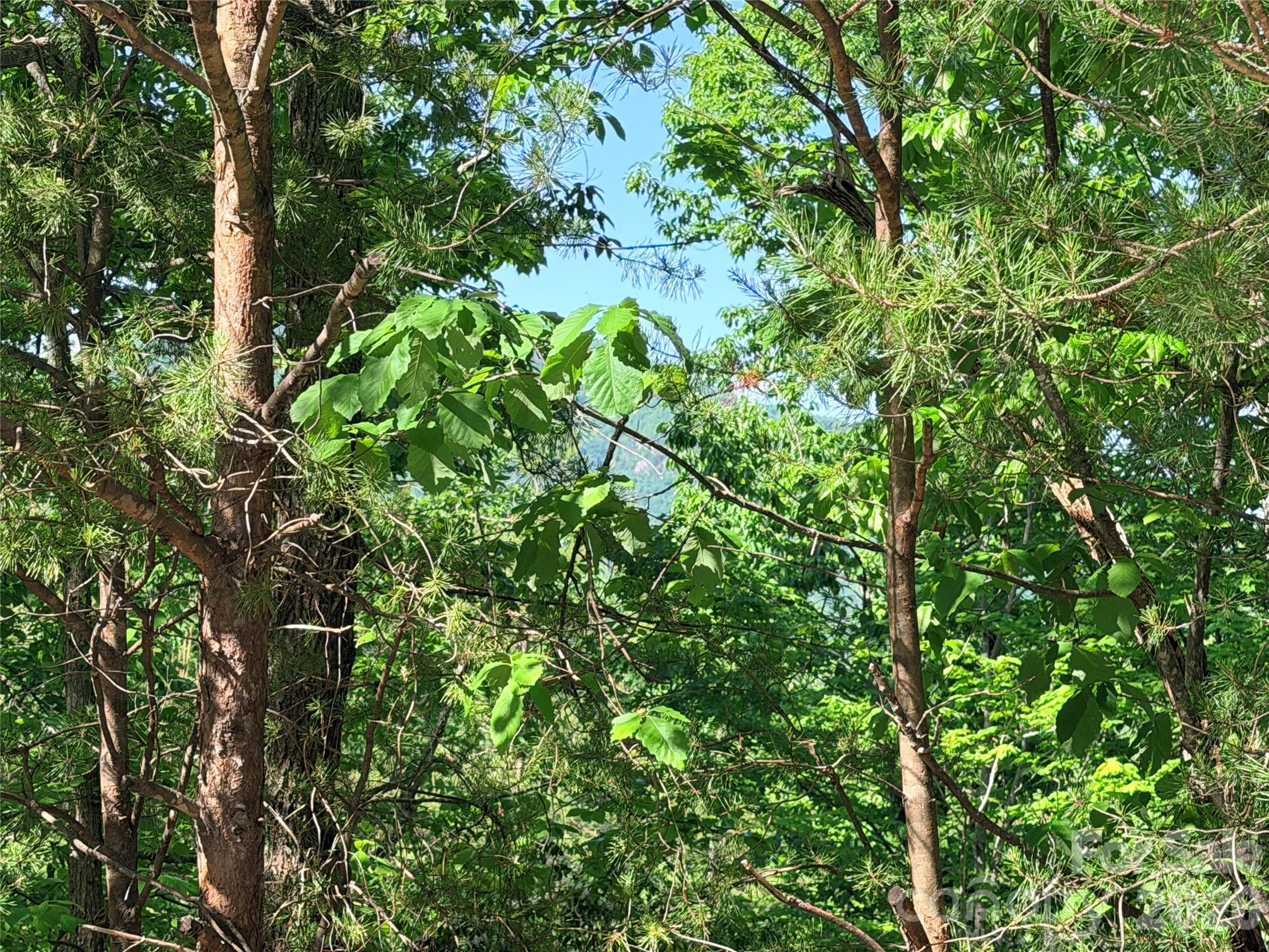 0 Eagles Crest Way Lake Lure NC 28746