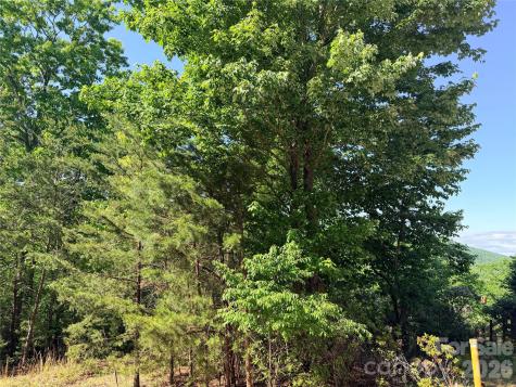 0 Eagles Crest Way Lake Lure NC 28746