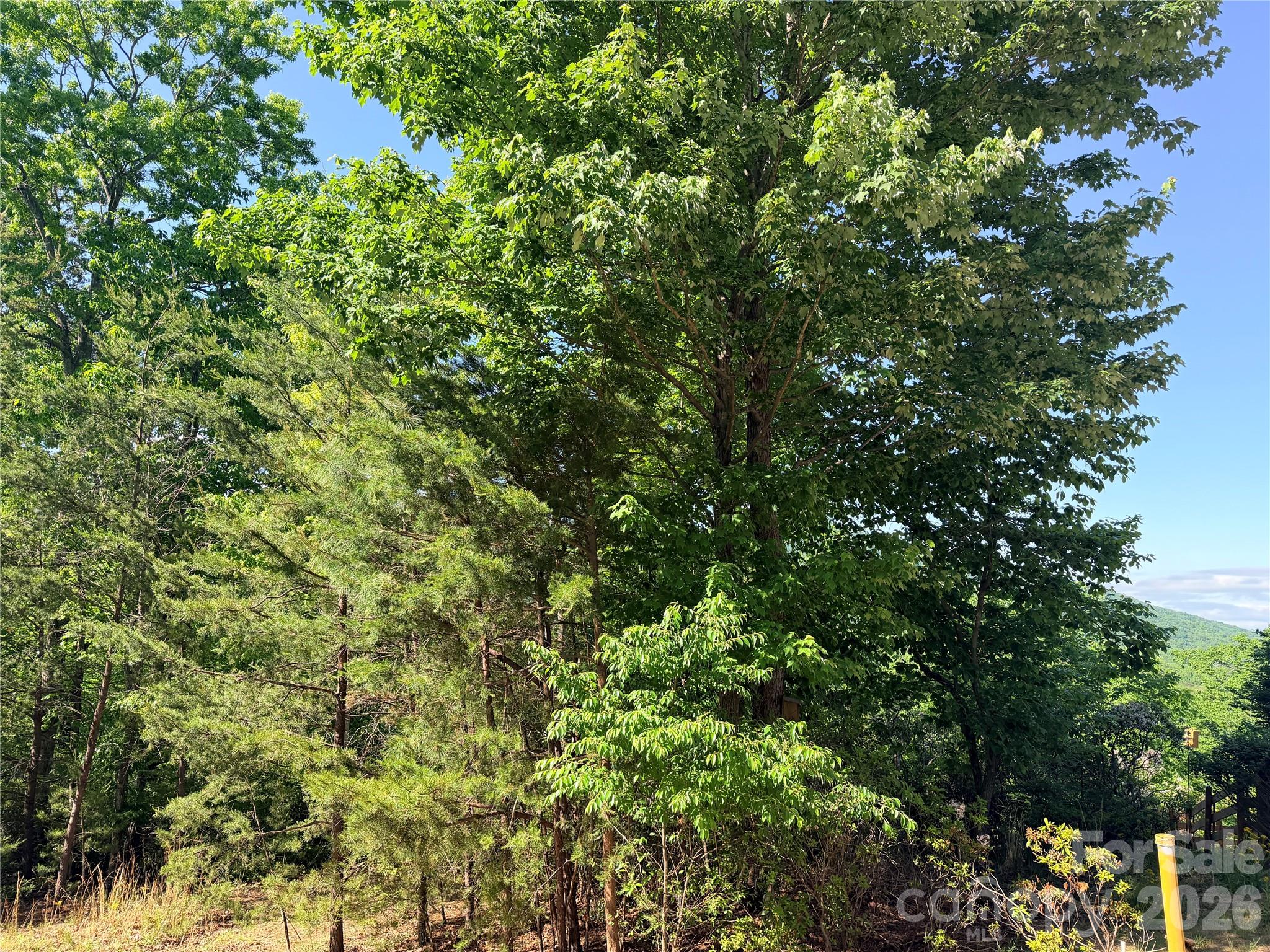 0 Eagles Crest Way Lake Lure NC 28746