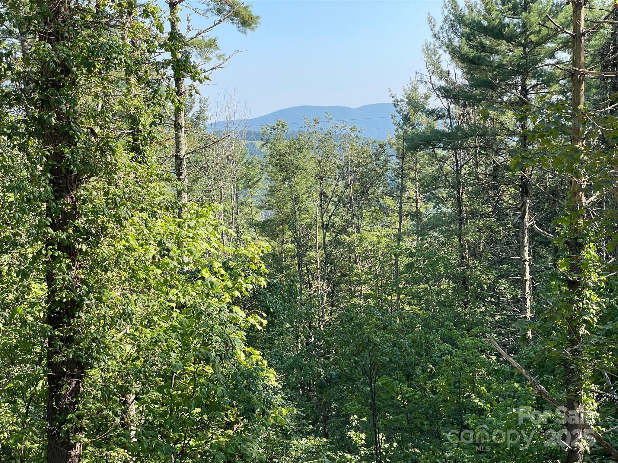 9999 Clouds Rest Drive Banner Elk NC 28604