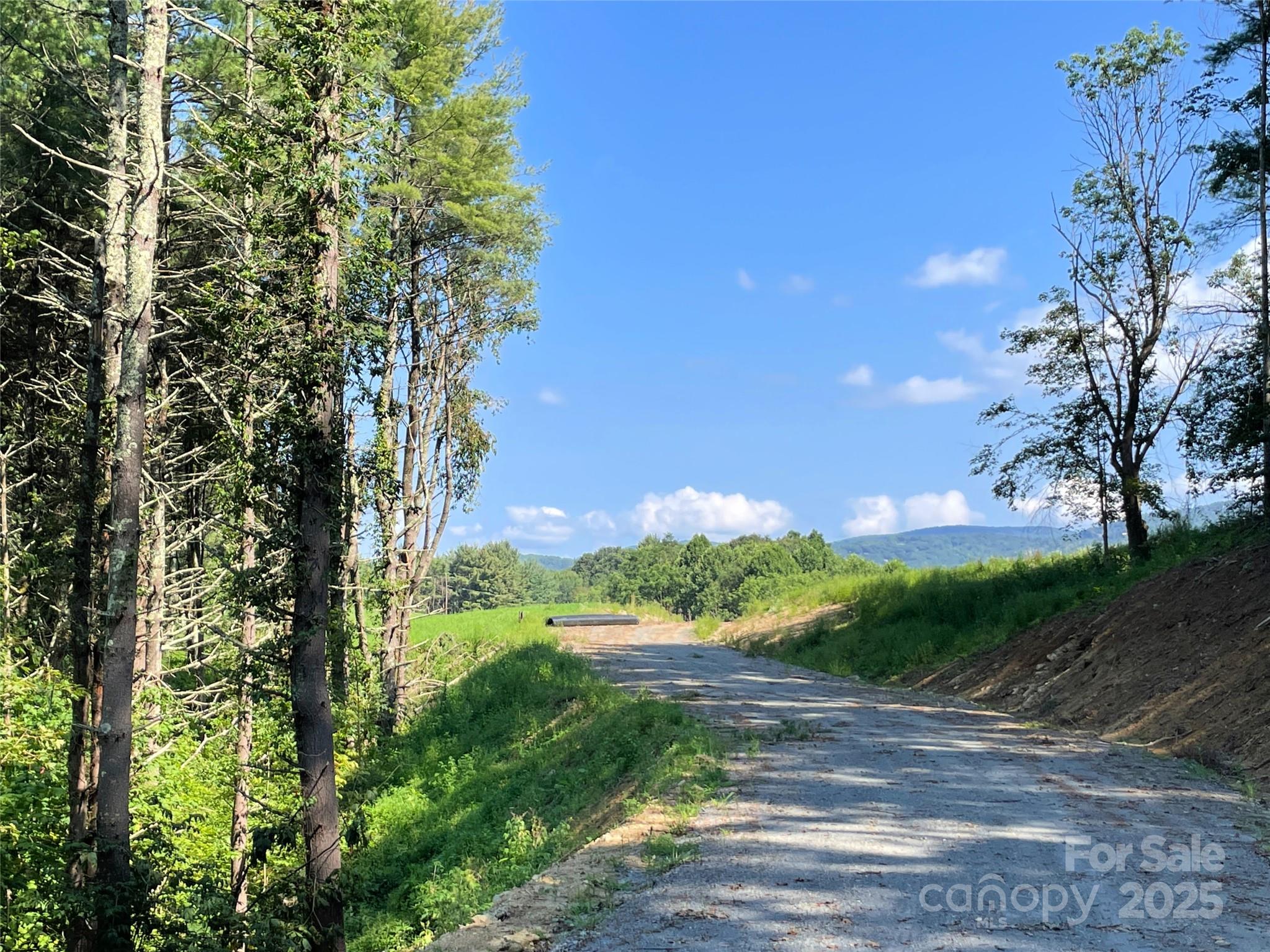 9999 Clouds Rest Drive Banner Elk NC 28604