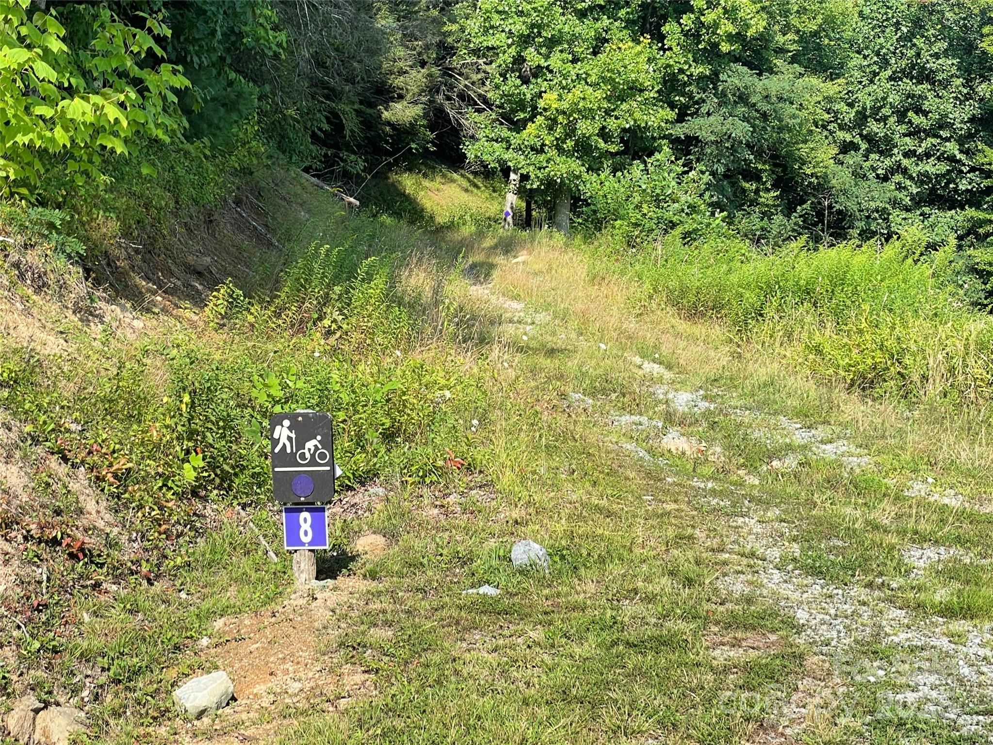9999 Clouds Rest Drive Banner Elk NC 28604