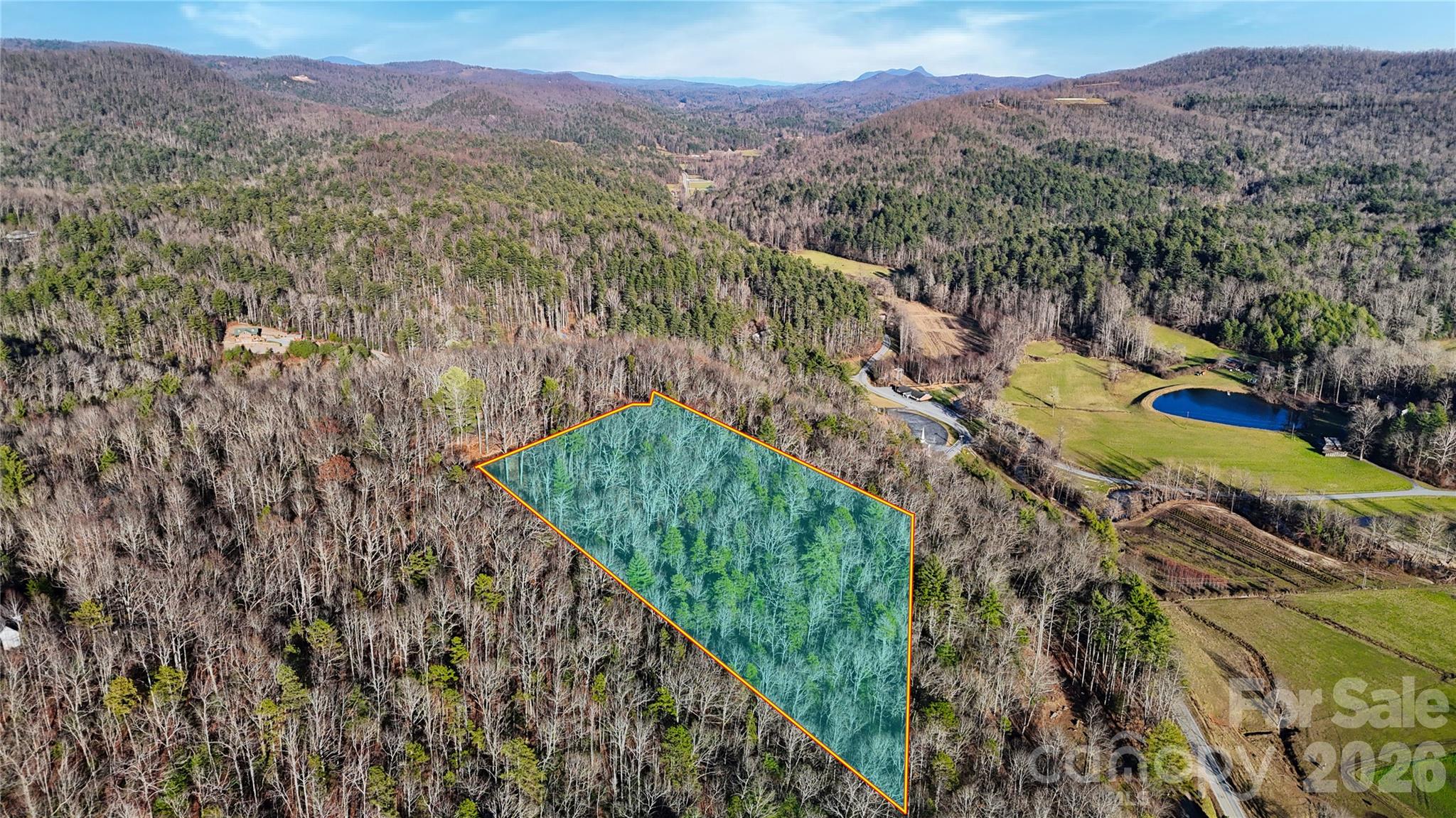 130 Brown Bear Ridge Trail Zirconia NC 28790