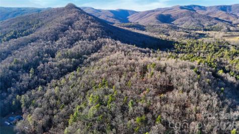130 Brown Bear Ridge Trail Zirconia NC 28790