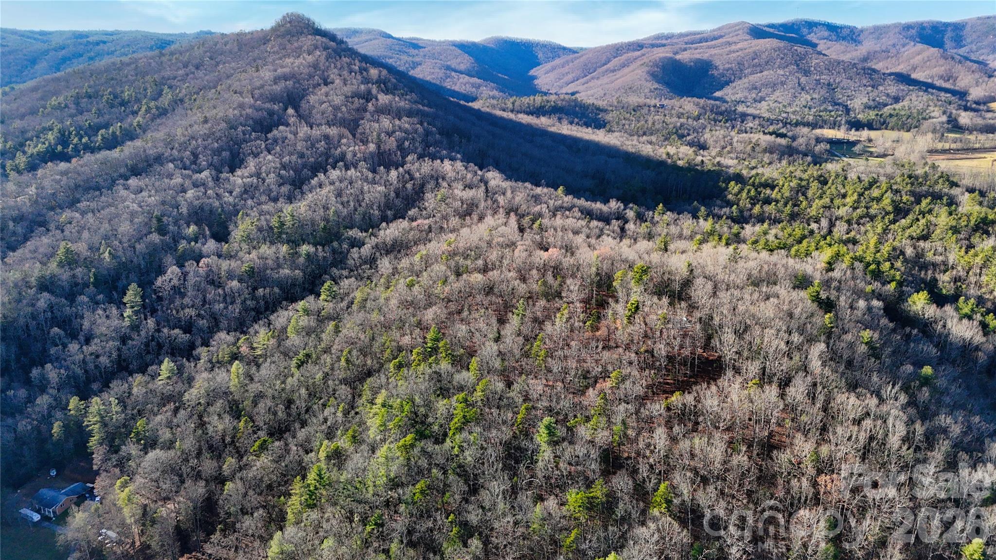 130 Brown Bear Ridge Trail Zirconia NC 28790