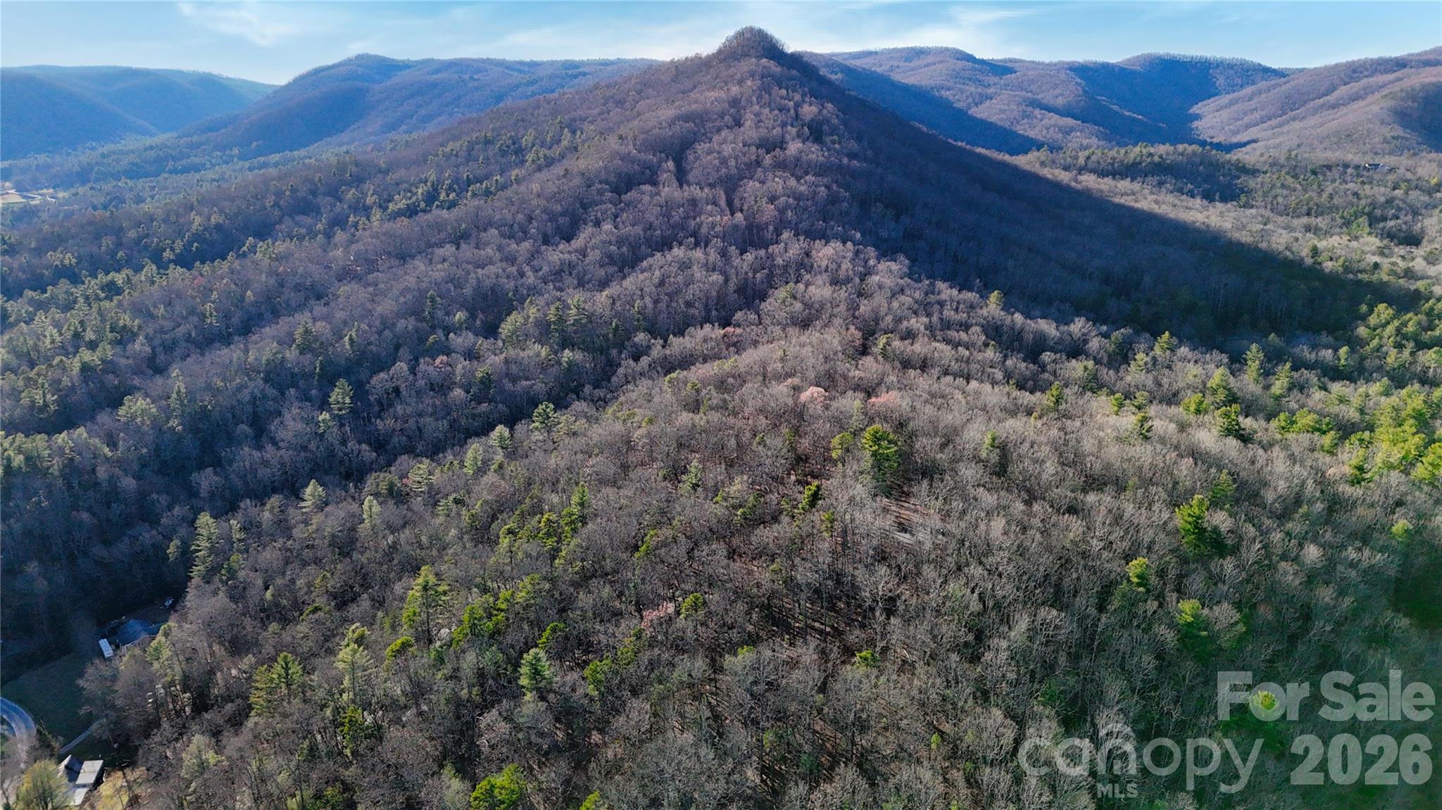 130 Brown Bear Ridge Trail Zirconia NC 28790