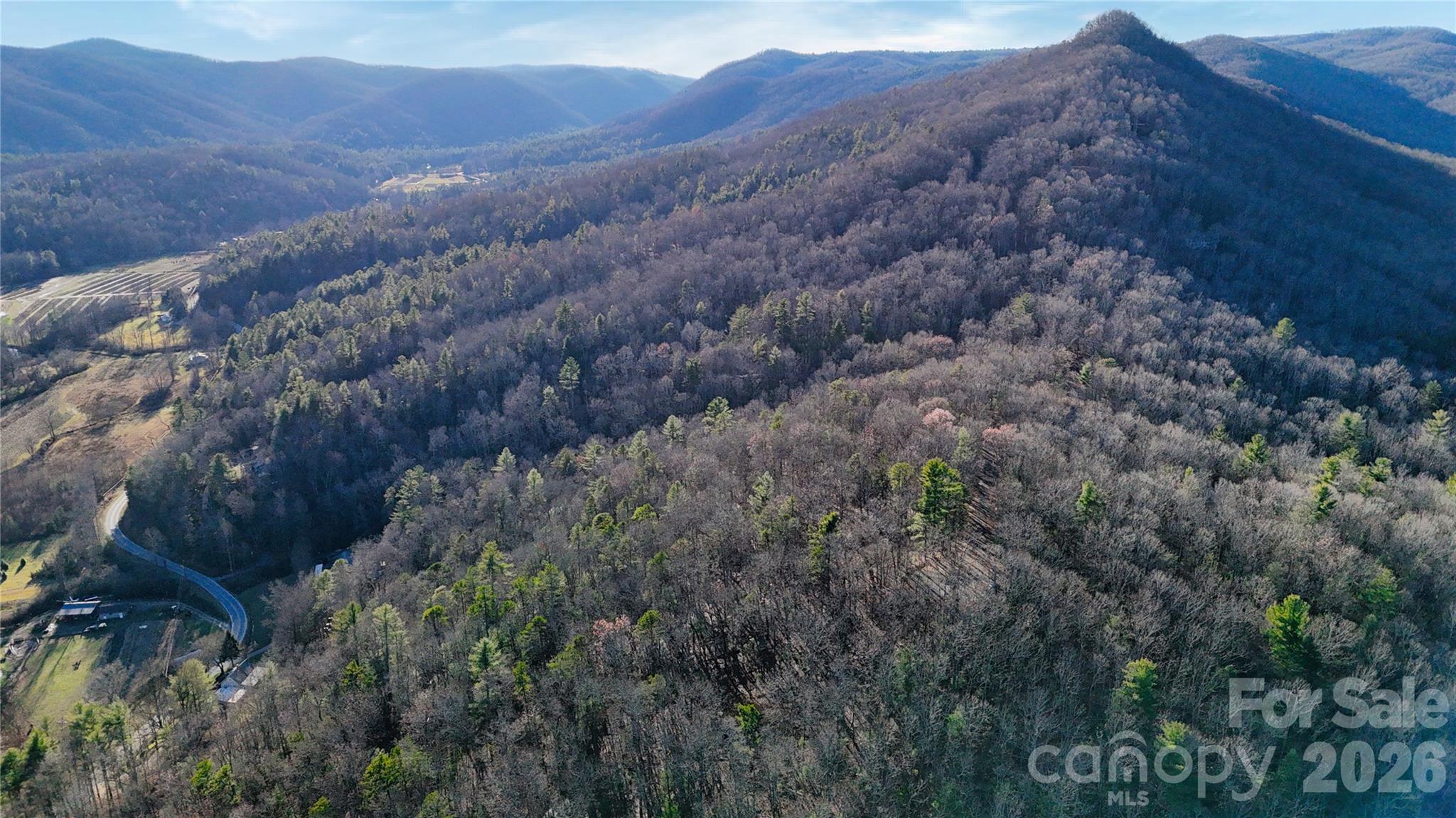 130 Brown Bear Ridge Trail Zirconia NC 28790