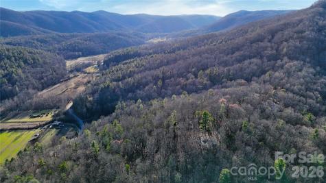 130 Brown Bear Ridge Trail Zirconia NC 28790